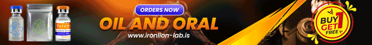 Ironlion Lab